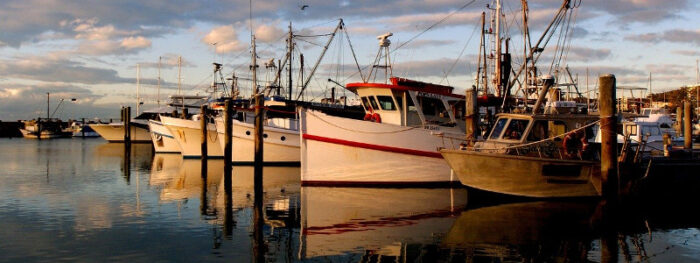 sunset on a marina and moored boats in Wales