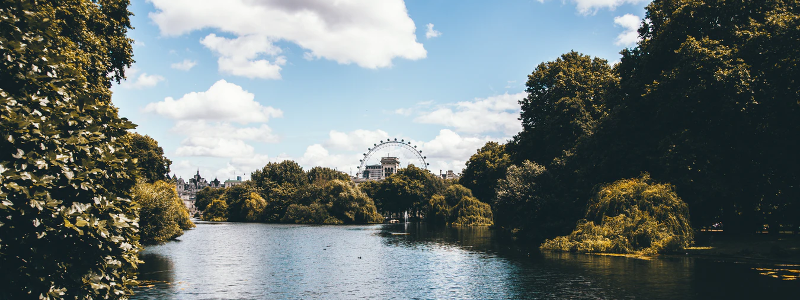 trees and river in London