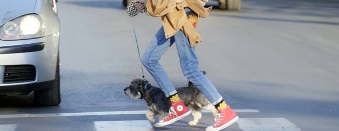 girl and dog crossing a road