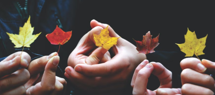 community hands holding leaves on a woodland trip